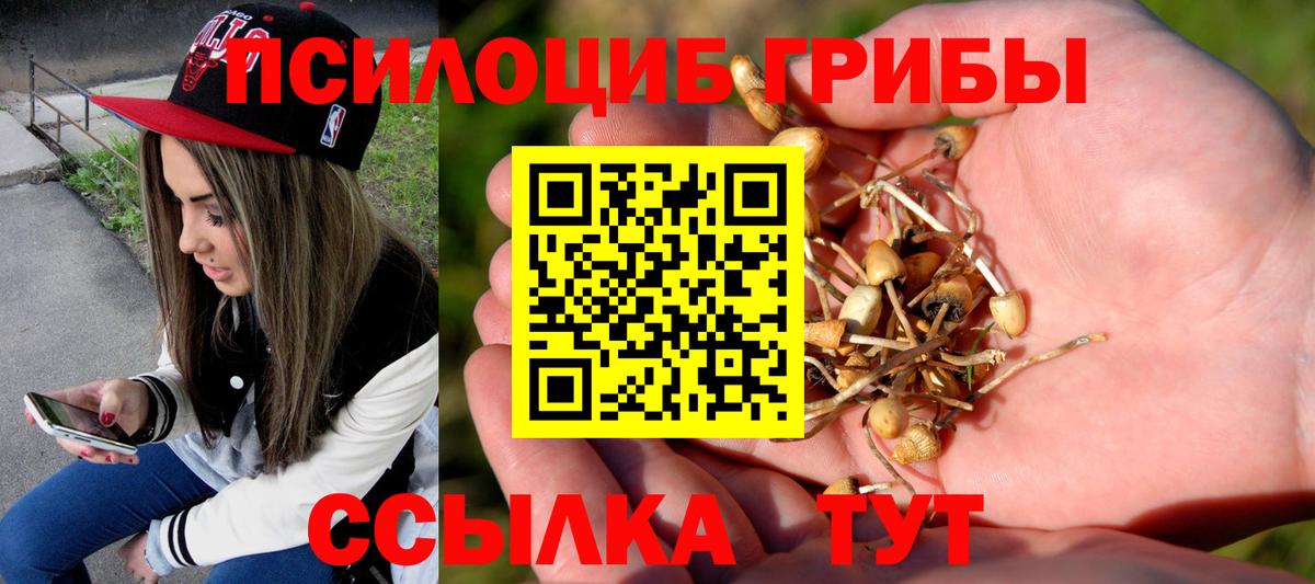 Новошахтинск  Галлюциногенные грибы MAGIC MUSHROOMS  Вход с VPN 
